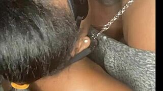 Thick ebony slut leashed in fishnets gets fucked 🍑💦