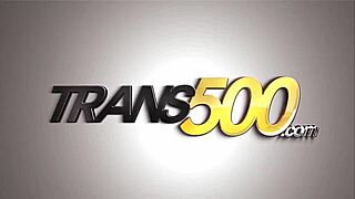 appetising ladyboy licks her own ass then gapes wide for jock's thick cock