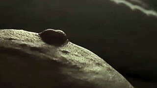 plump girl zooms in on fat tits while pinching hard left nipple