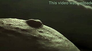 plump girl zooms in on fat tits while pinching hard left nipple