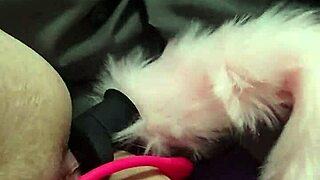 chubby fox crams toys in both holes for dp masturbation bliss 😈🍑