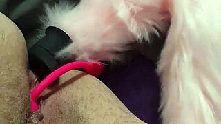 chubby fox crams toys in both holes for dp masturbation bliss 😈🍑