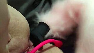 chubby fox crams toys in both holes for dp masturbation bliss 😈🍑