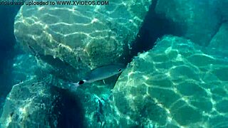 Fish slurps up thick cum loads in sloppy liquid lunch feast