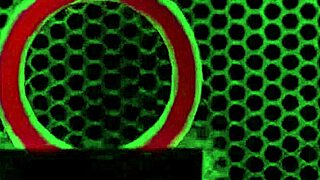 Peaches submits to james hardon and rome major's big black cocks in curvy blonde group bareback swing