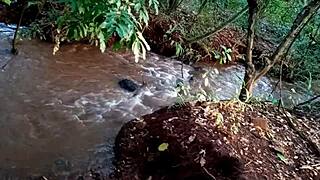 he slammed that naughty tight brazilian ass doggystyle then she gave raw pussy to the guy rolling up with his dog