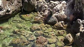 yellow trunks tease in blue water splashes 🌊👀