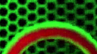 Mature Milf Charlee Chase Rubs Swollen Clit Hard with Toy Deep in Her Wet Cunt