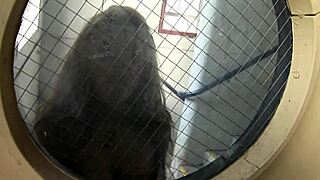 blonde big tits bent over taking stranger's cock doggystyle with hairy pussy fingering