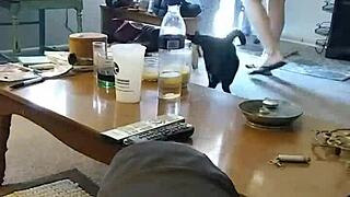 Cute blonde 18+ whore lotions up right in front of me?