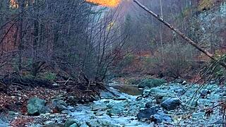 Mountain Getaway Turns Wild with Tanned Brunette's Natural Tits and Ass Flashing