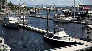 i'm asian ladyboy lexi faith in summer vlog 01 teasing pantyhose ass outdoors cutely crossdressed