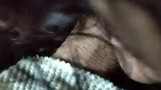 la divina starts sucking it close up and amateur style