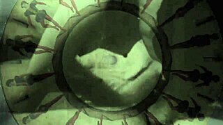 uncover the hidden erotic secrets in vintage silent films