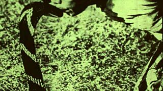 dark lantern unveils hairy beaver and natural tits in vintage beauty tale