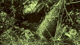 dark lantern unveils hairy beaver and natural tits in vintage beauty tale