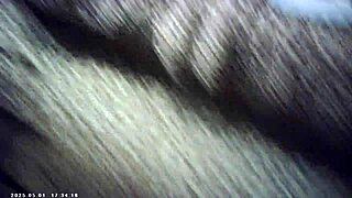 Candice Cumm meets Maxxx Loadz and feels the Italian pound machine in hardcore XXX POV sex