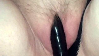 bbw sugar tits panties on black dildo deep fuck