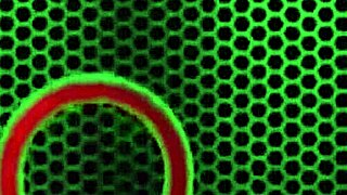 Curvy exotic babe Kandy Love takes charge before Rome Major pounds her big ass