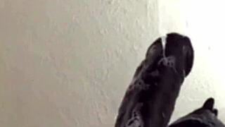 Super sloppy deepthroat close-up blowjob ends in cum-filled mouth