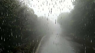 i'm with mommy in wet forest bending for anal creampie doggystyle