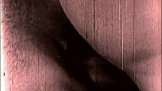wanna see these vintage erotic hairy beavers up close?