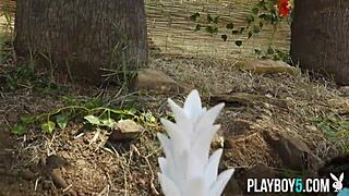 Perfect Big Ass Blonde Playboy Milf Jillisa Lynn Strips Naked Outdoors