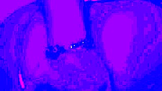 BLEU ROOM Dives Deep into Anal Solo Finger Fuck Bent Over!