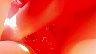 Young Stepmom Sucks Stepson's Dick On Crowded Bus Real Amateur Blowjob