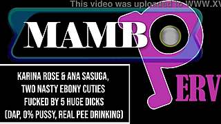 Karina Rose and two nasty ebony sluts gape asses on five huge bbc daps, ass to mouth dirty