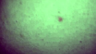 wet white pussy meets monster black cock in ultimate contrast clash