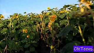 kitty wanna fuck mark in sunflower field right now??