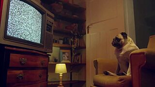 hot lesbians lick natural tits and dive into wet pussies for wild sex