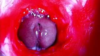 extreme closeup asmr view head deep inside dripping wet pussy