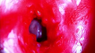extreme closeup asmr view head deep inside dripping wet pussy