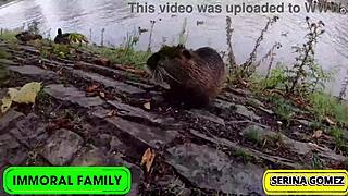 duck feeding flips to serina sucking dean's monster cock swallowing his thick cum