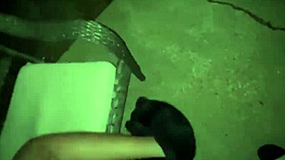 Fijii Asshole Destroyed By Jamaican BBC