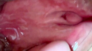 Amateur pink pussy 106 days after losing virginity