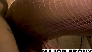 rome major splits gemini lovell wide on bathroom floor