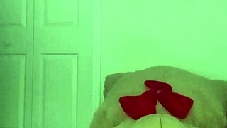 Taking turns stretching like scorpio zodiac spider with toy