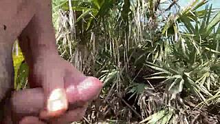 clitlicker662 update 40 img 1437 jun 30 2025