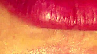 arabicanal update 12 30754 jun 11 2026
