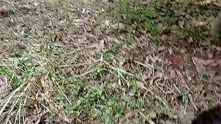 Casada pagando boquete no meio da rua durante o dia para desconhecido.