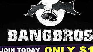 Bangbros - Sophia Steele surprend Peter Green avec une pipe osée en public près d'un clochard