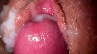 היי, רוצה לראות את האוסף החובב שלי של שפיכות מתפוצץ על התחת?