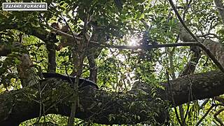 रफ ऐनल में मेरी विनम्रता का फायदा उठाओ सिर्फ मेरी मदद के लिए