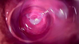 摄像头捕捉我紧致奶油穴的内部视图